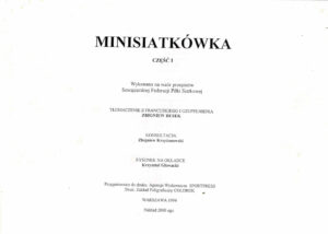 Minisiatkówka | Gry zespołowe