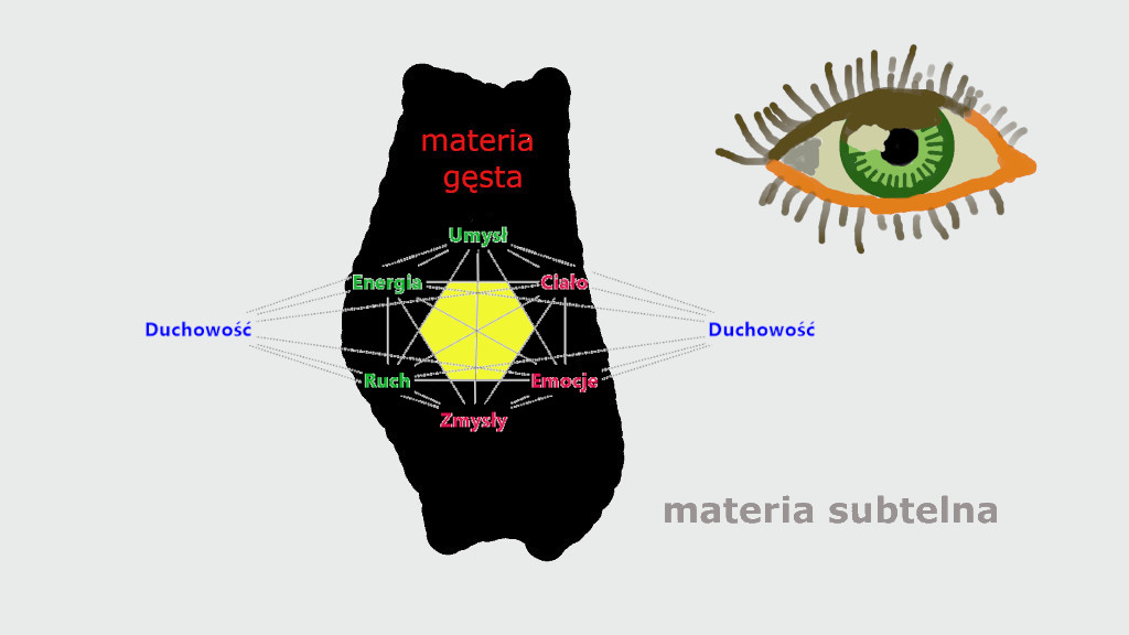 Biotensegracja rozszerzona | Pasja Ruchu