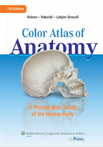 Color Atlas of Anatomy | Pasja Ruchu